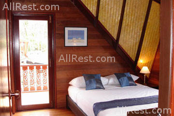 Coconut Paradise 30